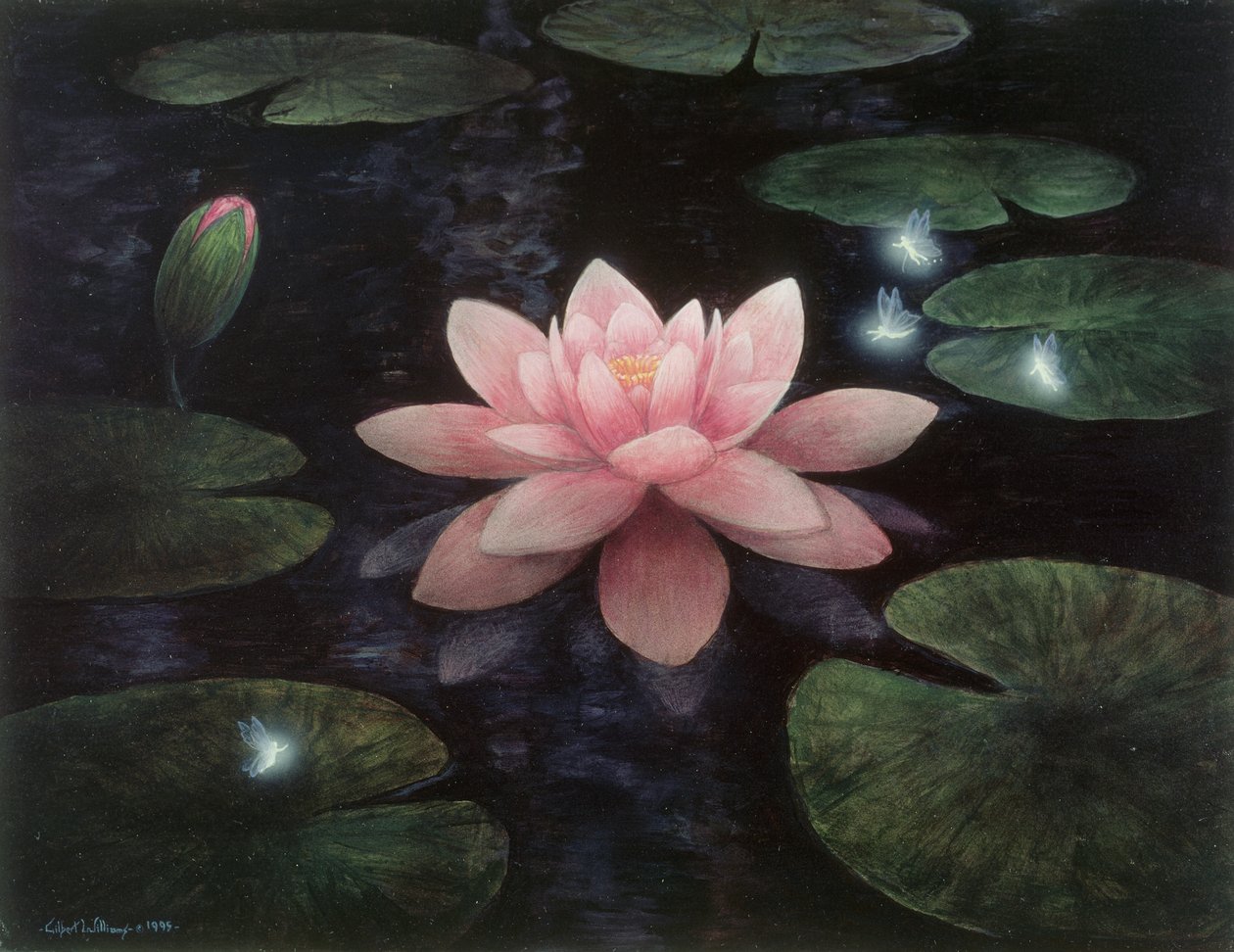 Sprites de lotus - Gilbert Williams