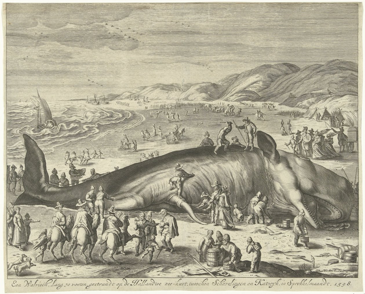 Baleine échouée à Berckhey, 1598 - Gilliam van der Gouwen