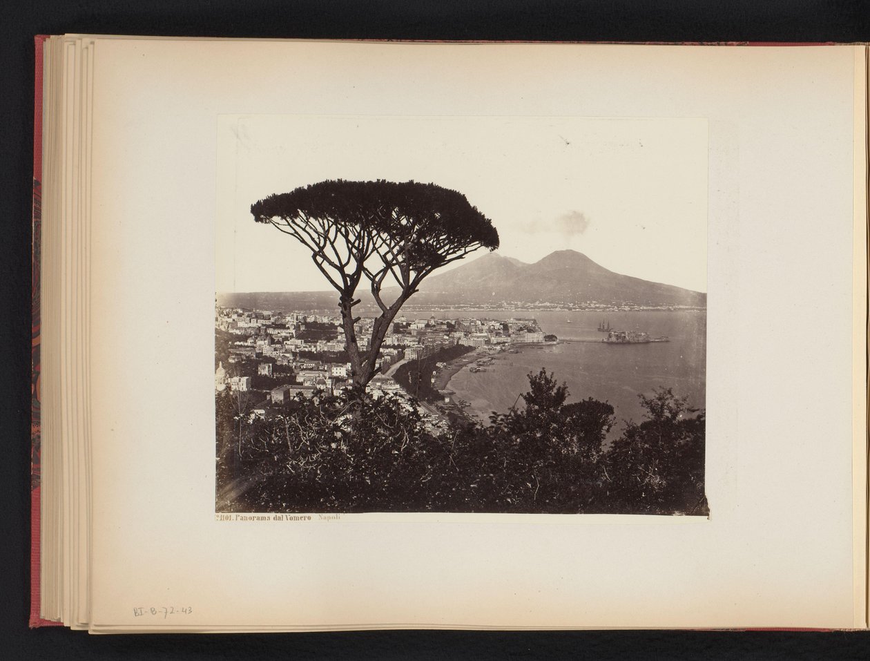 Vue de Naples, Italie, avec un pin au premier plan - Giorgio Sommer