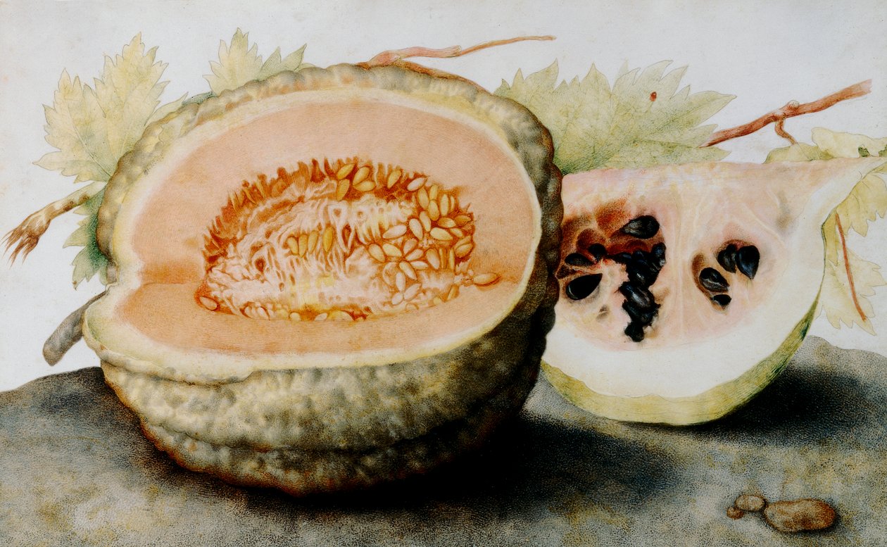 Un cantaloup et une tranche de pastèque - Giovanna Garzoni