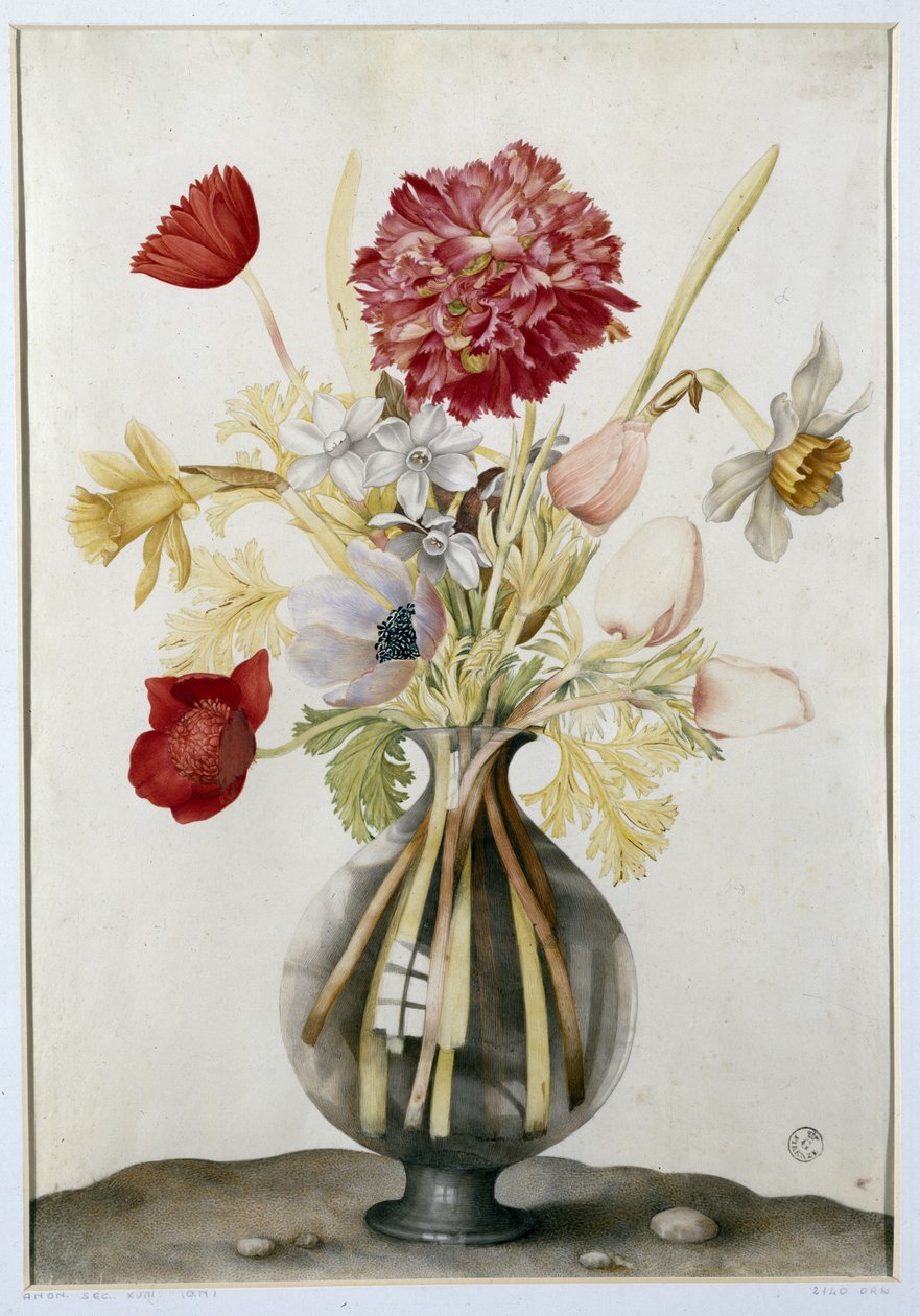 Vase de fleurs avec jonquilles, œillets et anémones - Giovanna Garzoni