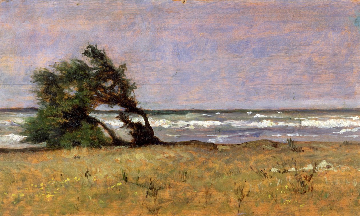 Tempête - Giovanni Fattori