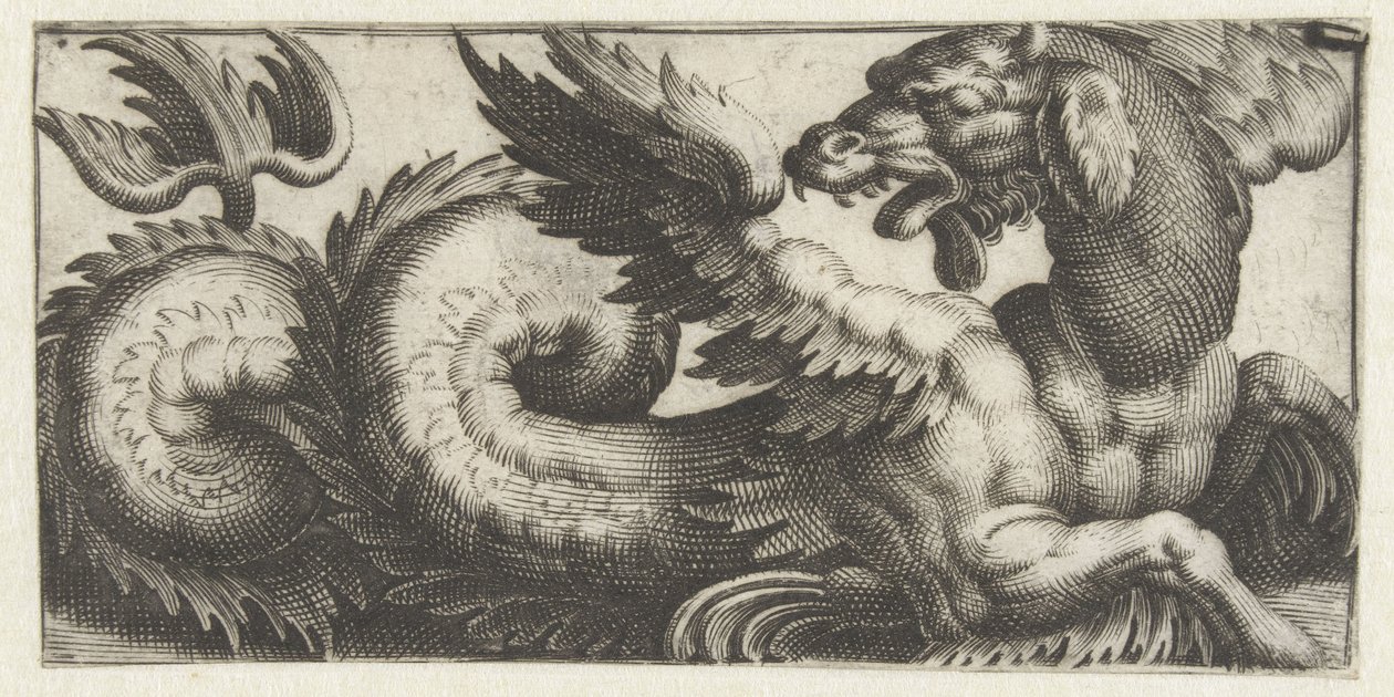 Phoque ailé regardant en arrière - Giovanni Andrea Maglioli