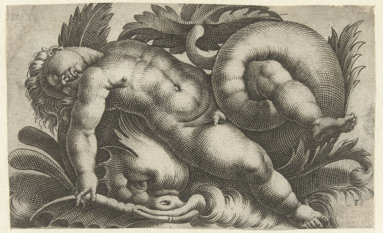 Putto endormi sur un dauphin (Putti sur créatures marines) - Giovanni Andrea Maglioli