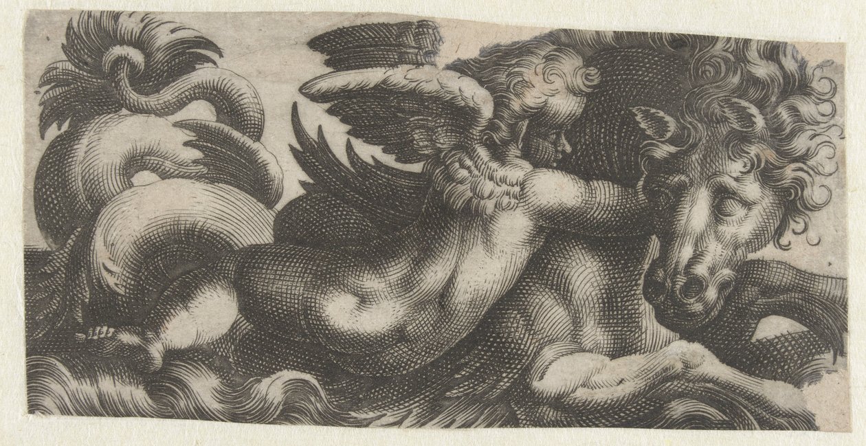 Hippocampe avec un putto autour du cou - Giovanni Andrea Maglioli