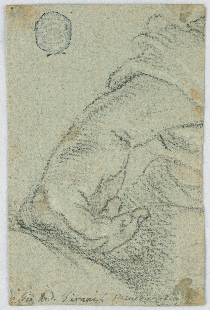 Dessin, étude : Une main gauche en position penchée, vers 1650 - Giovanni Andrea Sirani