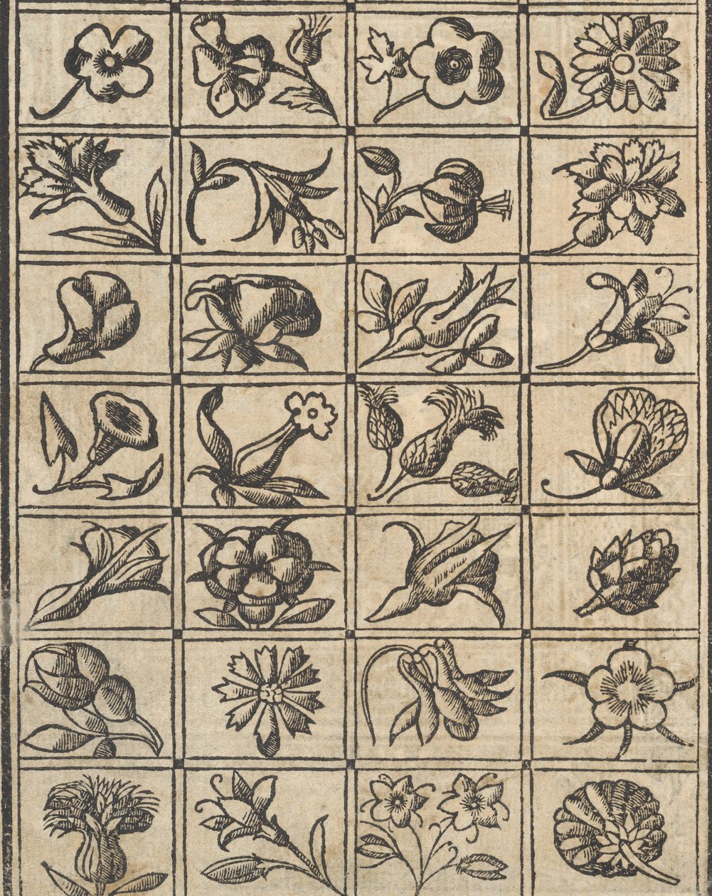 Essempio di recammi, page 10 verso - Giovanni Antonio Tagliente