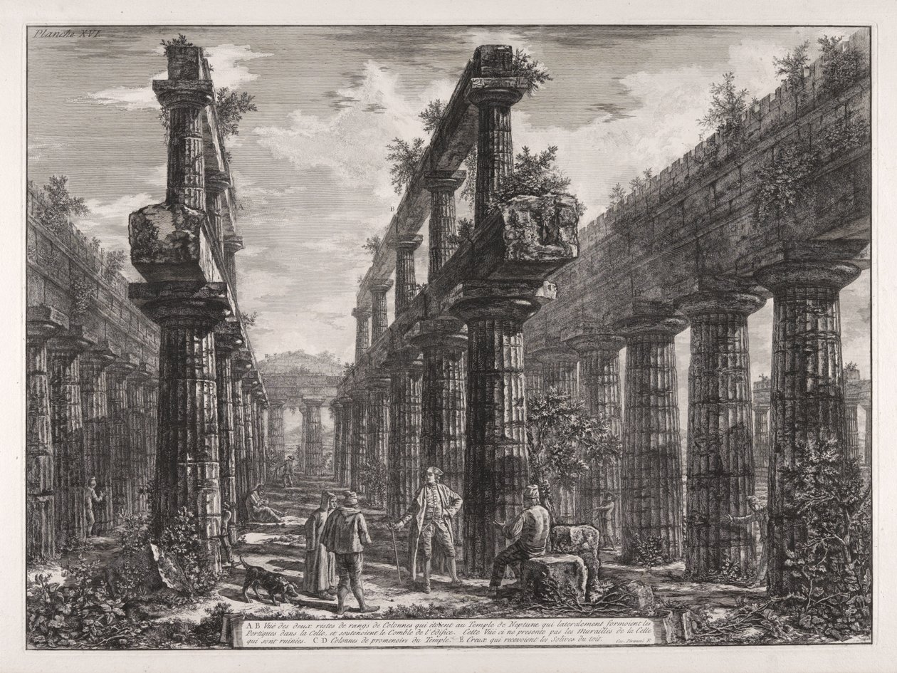 A., B. Vue des restes des deux rangs de colonnes qui étaient au temple de Neptune, qui formaient latéralement les portiques dans la cella et soutenaient le comble de l
