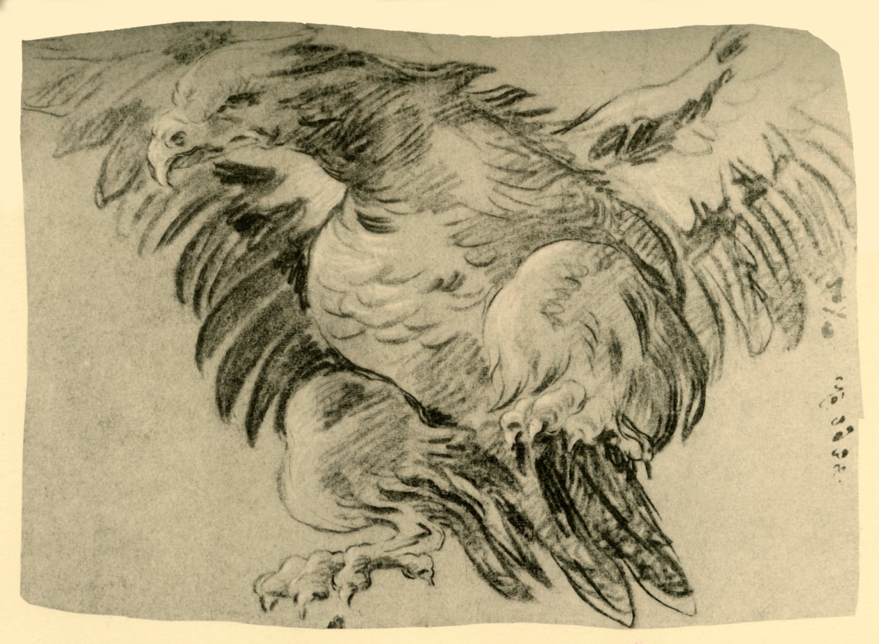 Aigle, 1751-1752, 1928 - Giovanni Battista Tiepolo