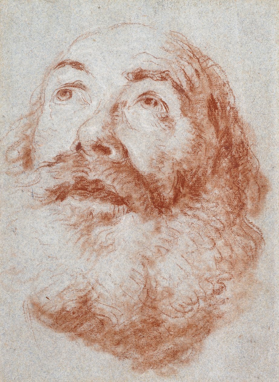 Tête d