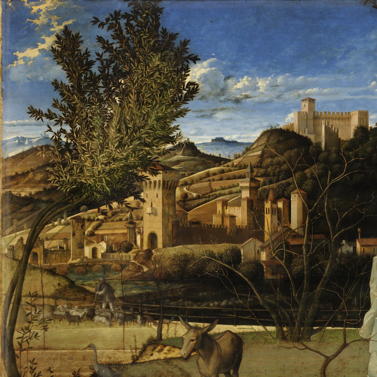 Saint François dans le désert - Giovanni Bellini