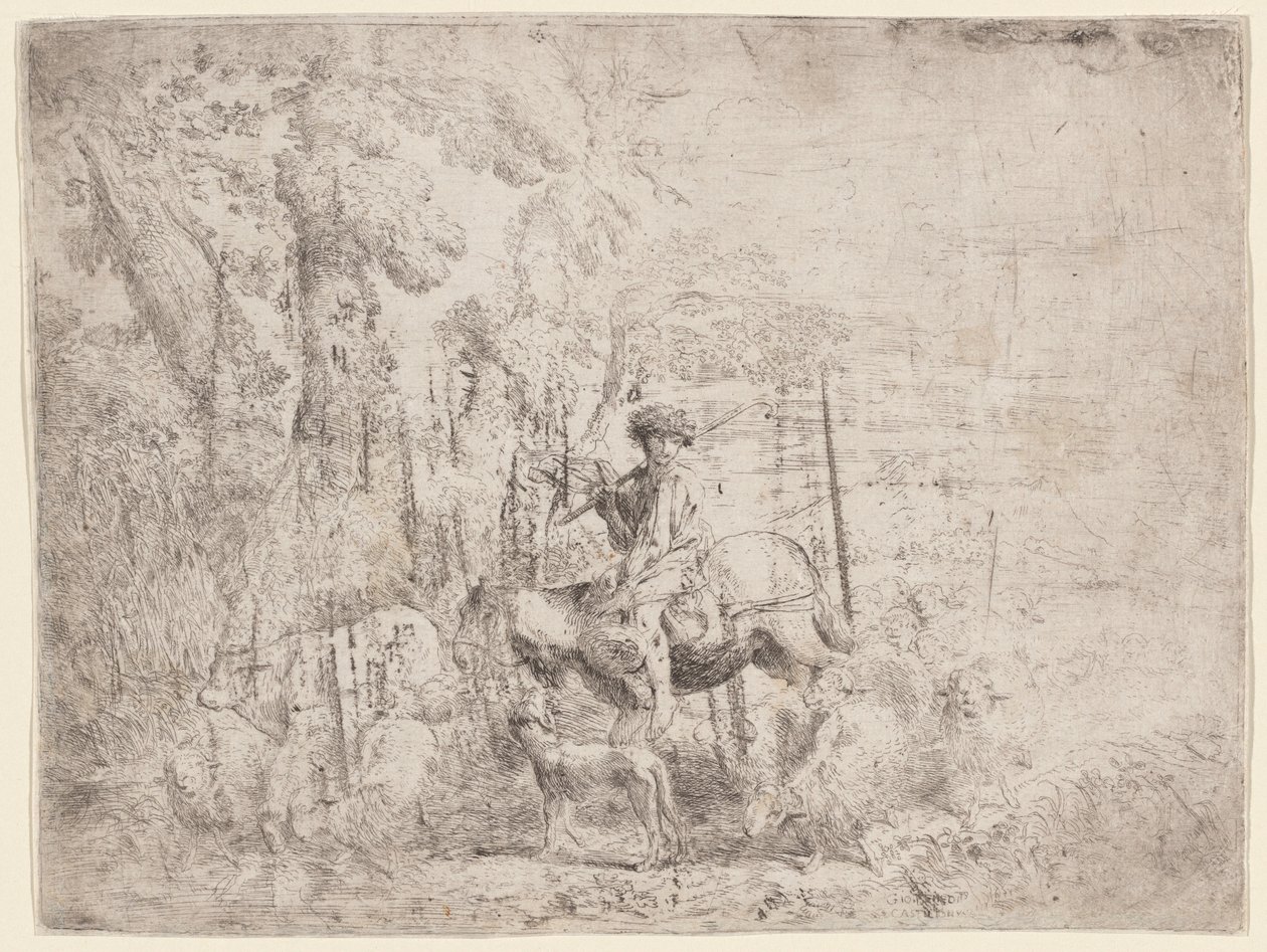 Jeune berger à cheval - Giovanni Benedetto Castiglione