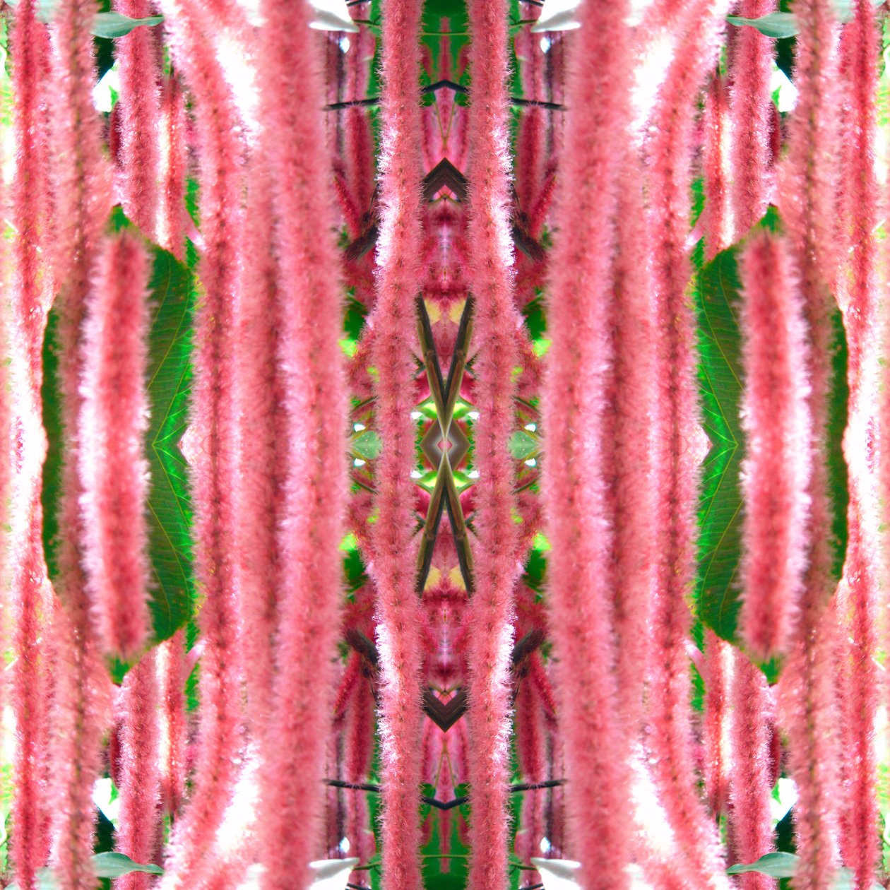 Unnatural 172 - Giovanni Cafagna