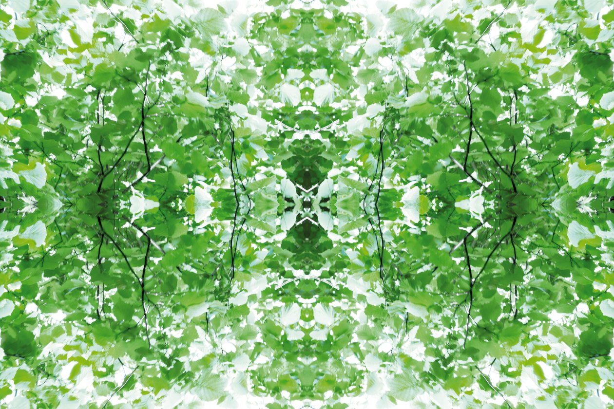 Non naturel 34 - Giovanni Cafagna
