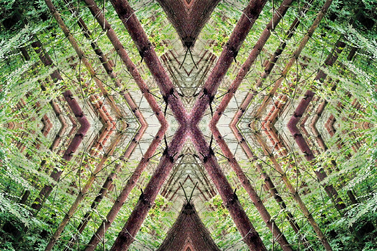 Non naturel 37 - Giovanni Cafagna