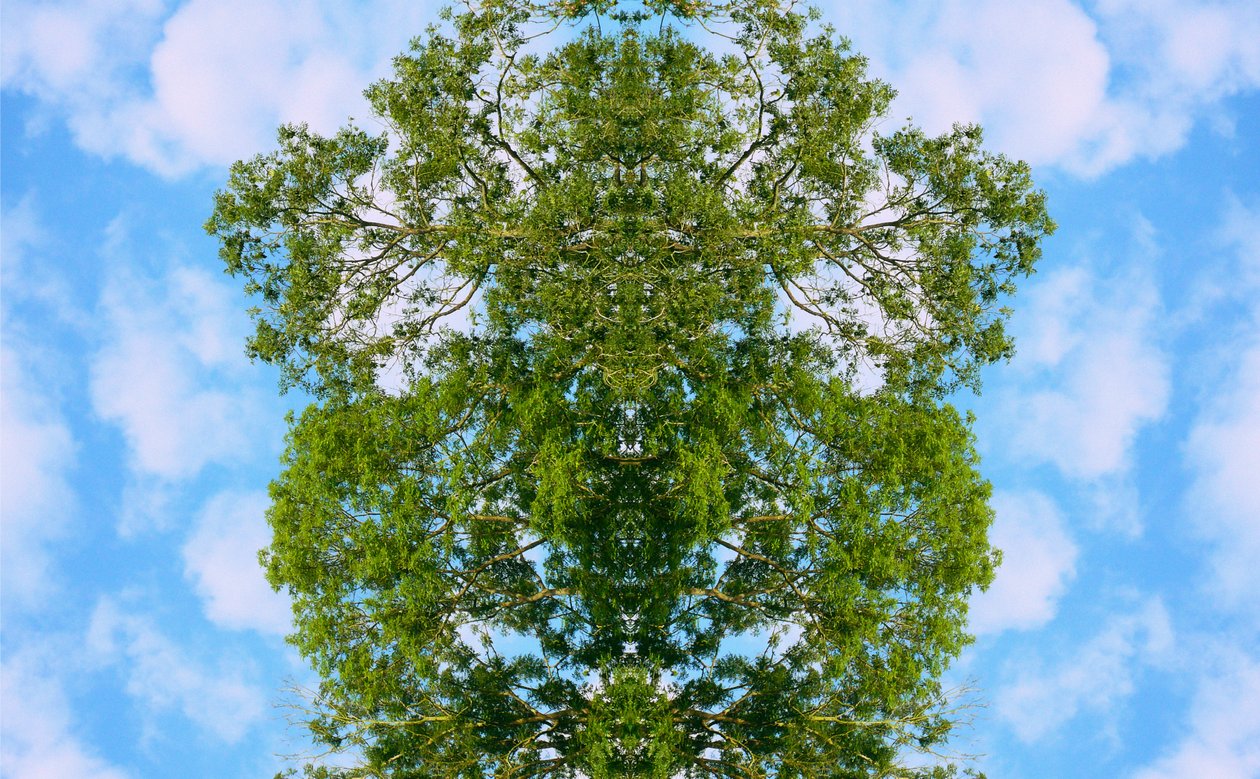 Non naturel 46 - Giovanni Cafagna