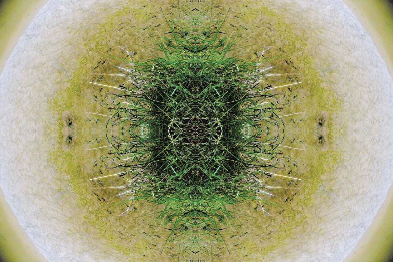 Non naturel 6.1 - Giovanni Cafagna