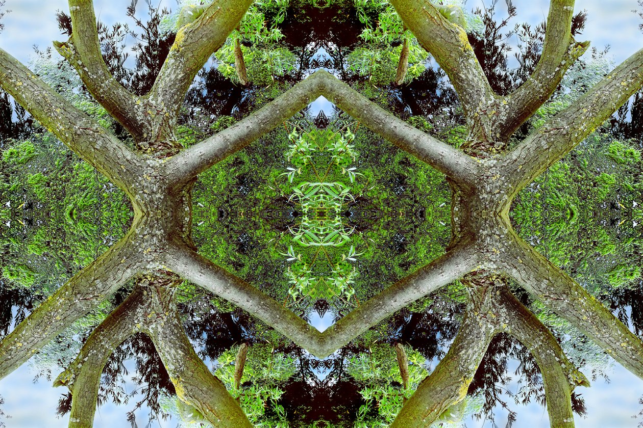 Non naturel 65.2 - Giovanni Cafagna