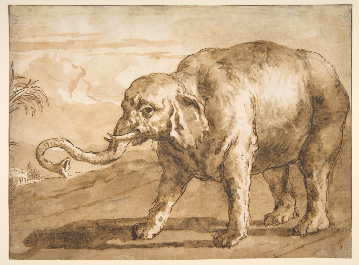 Éléphant dans un paysage - Giovanni Domenico Tiepolo