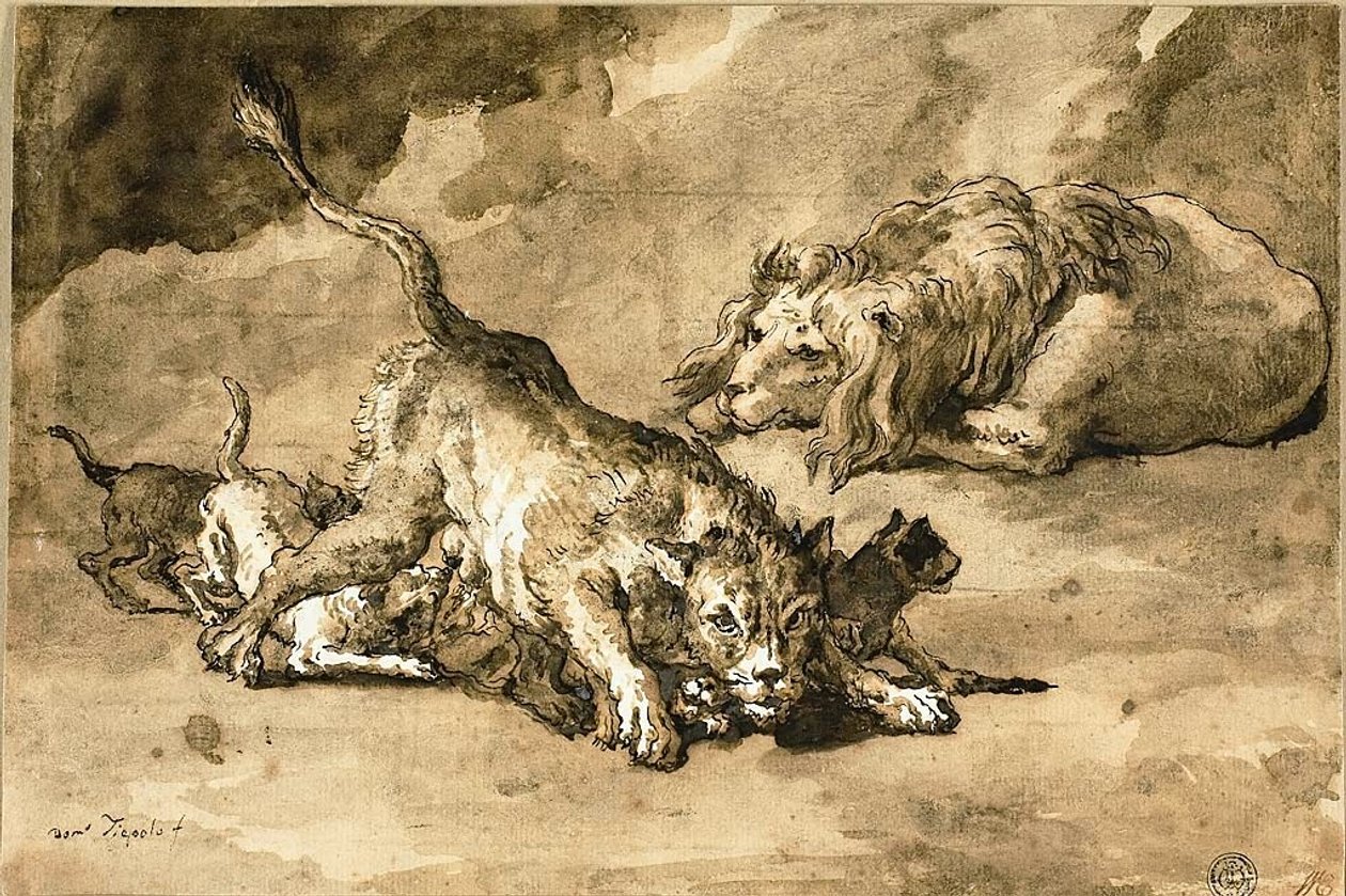 Lion, lionne et lionceaux - Giovanni Domenico Tiepolo