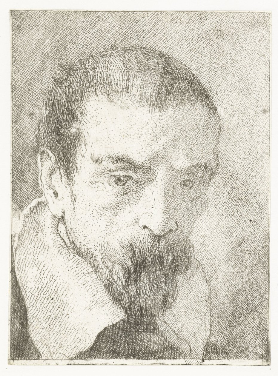 Homme avec petite barbe sans couvre-chef (Verzameling hoofden, Raccolta di Teste) - Giovanni Domenico Tiepolo
