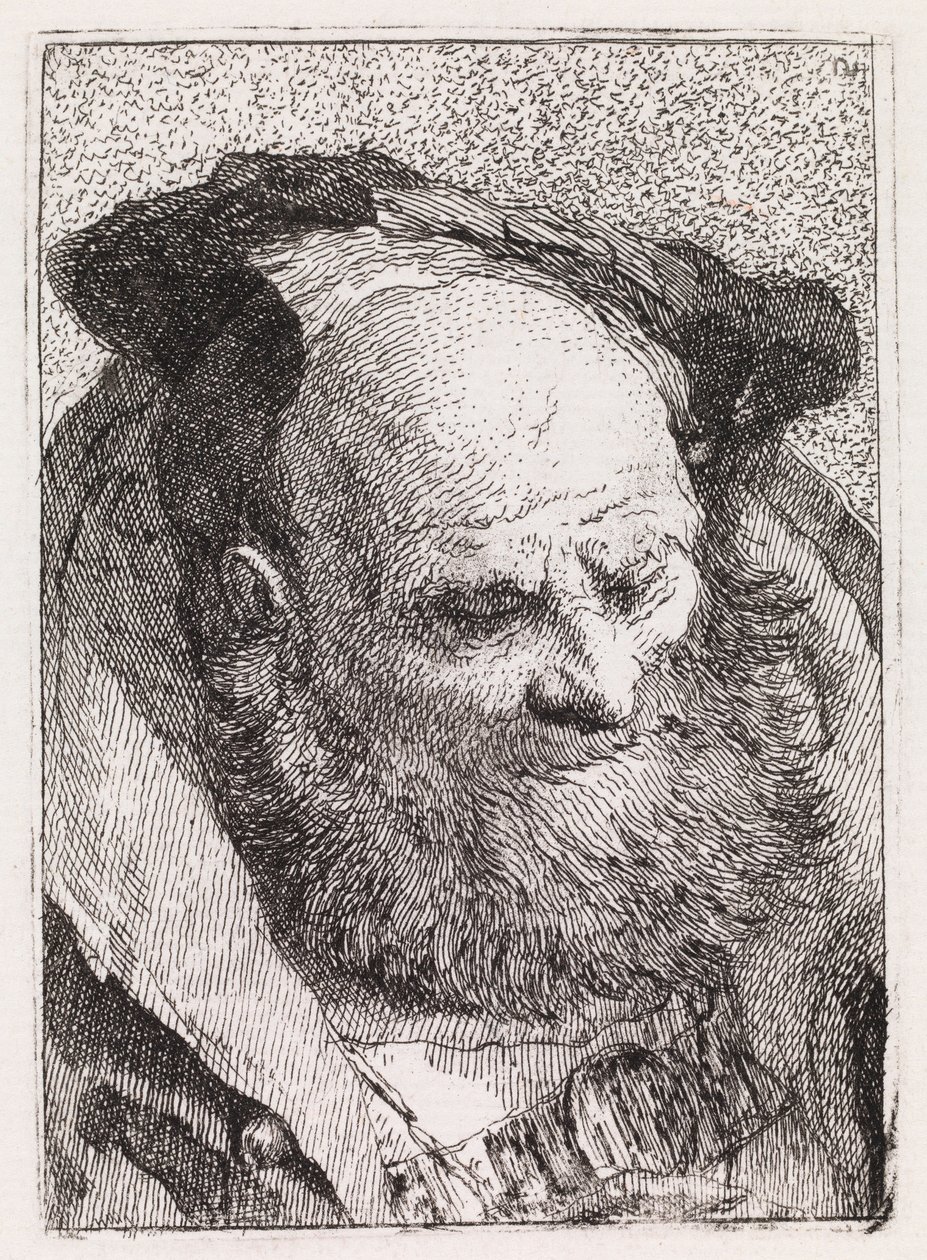Un vieil homme barbu - Giovanni Domenico Tiepolo
