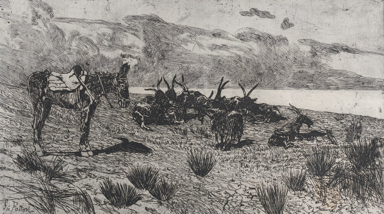 Âne et chèvres sur un rivage en hiver - Giovanni Fattori