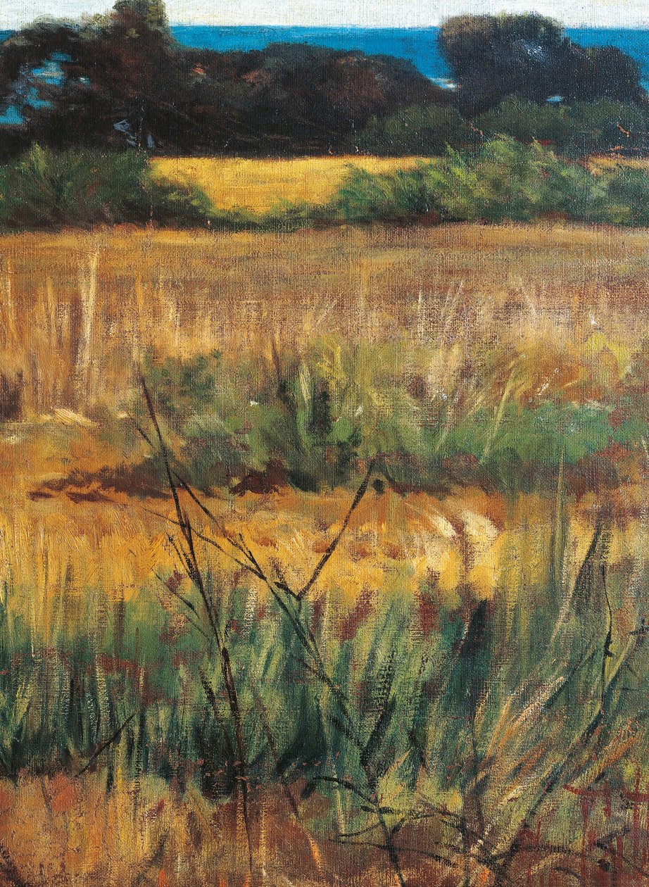 Maremma Toscana, vers 1894 (détail) - Giovanni Fattori