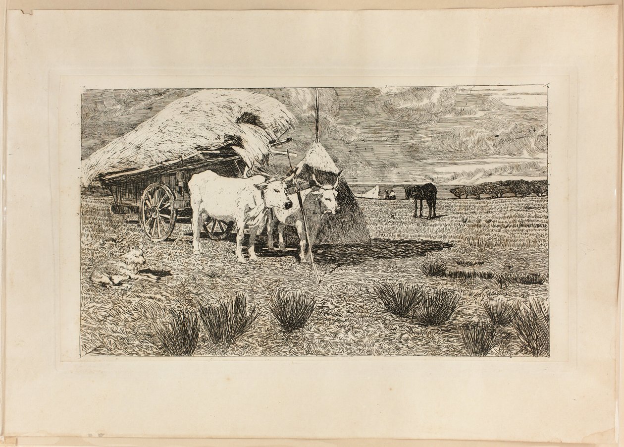 Bœufs et chariot (Maremma) - Giovanni Fattori