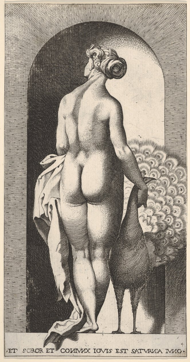 Planche 4 : Junon debout dans une niche, vue de dos, caressant un paon à sa droite, fr..., 1526 - Giovanni Jacopo Caraglio