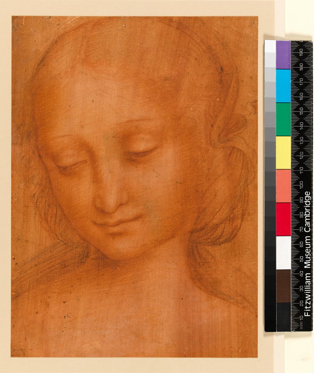 Tête de femme (craie sur papier) - Giovanni Pietro Rizzoli Giampietrino