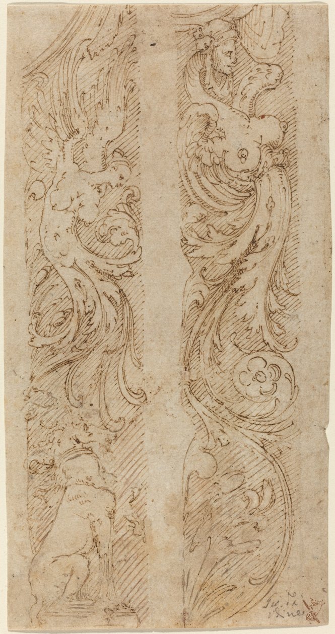 Décorations grotesques pour panneaux muraux - Giovanni da Udine