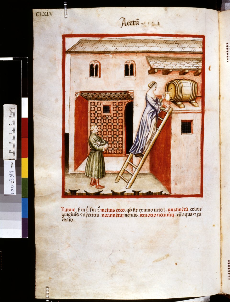 Theatrum sanitatis par Ububchasym de Baldach: 