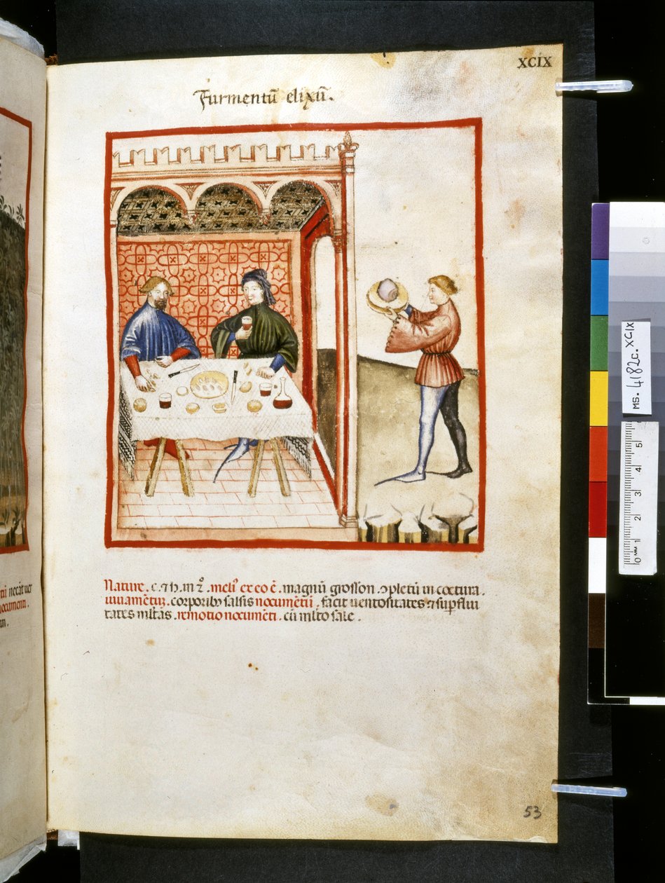 Theatrum sanitatis par Ububchasym de Baldach : 