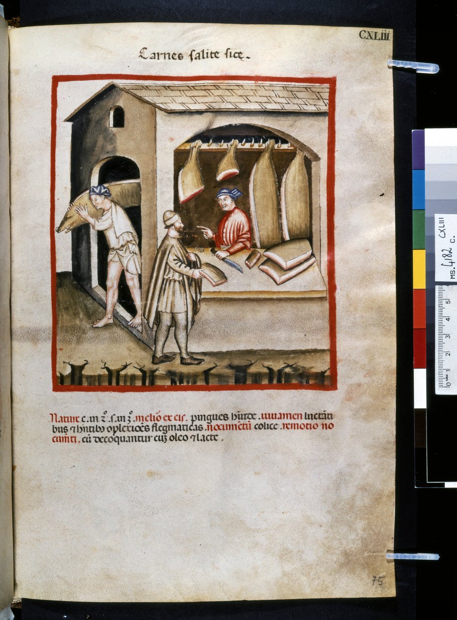 Theatrum sanitatis par Ububchasym de Baldach : 'Carnes Salite Si ce ...