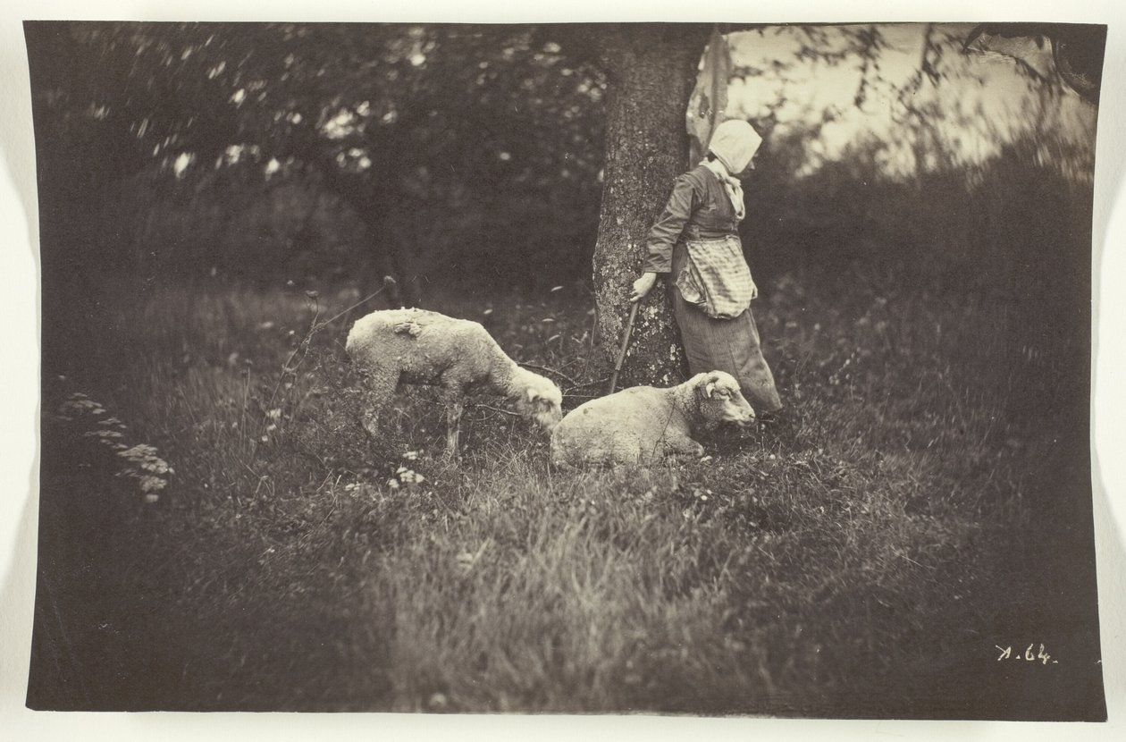 Bergère adossée à un arbre, avec deux moutons - Giraudon