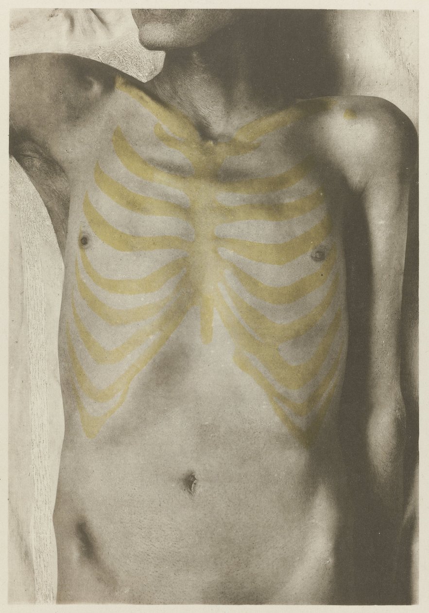 Atlas der Anatomie des Menschen zum Gebrauch für Künstler : Reproduktion und Illustration, anatomischer - Giulio Chiarugi (attributed to)