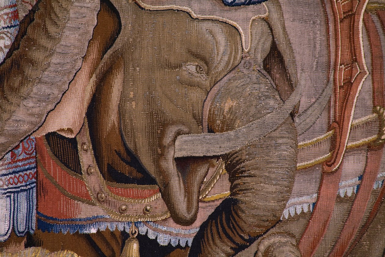 Série Les Actes de Scipion : La bataille de Zama. Modèle Giulio Romano. Atelier de Balthasar van Vlierden (?), Bruxelles. 1523-1532. (détail) - Giulio Romano