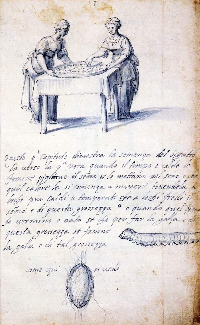 Traité sur la culture et la fabrication de la soie (Série de treize dessins, n° 1) - Giuseppe Arcimboldo