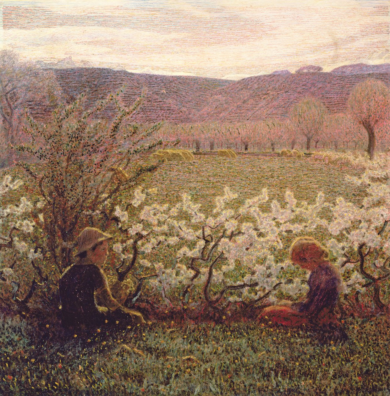 Prairie fleurie - Giuseppe Pellizza da Volpedo