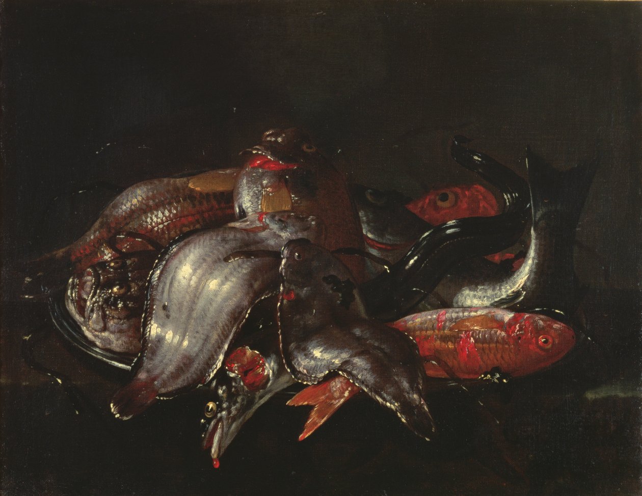 Nature morte de poissons, vers 1670-80 - Giuseppe Recco