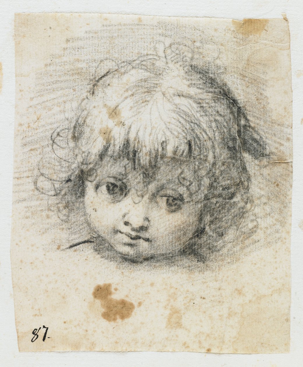 Portrait d