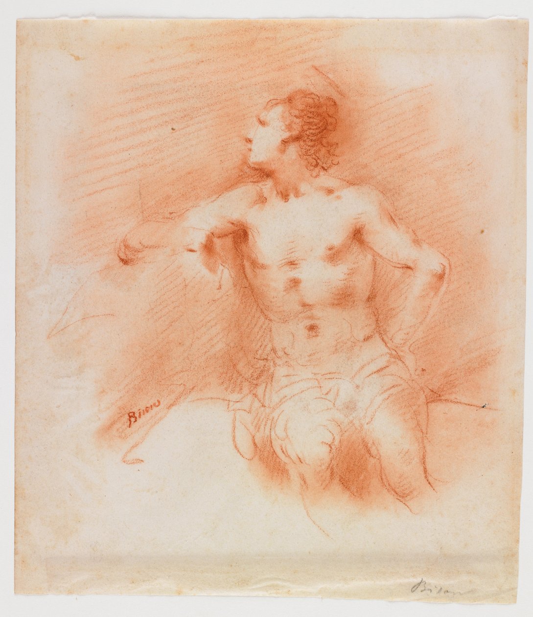 Studie eines sitzenden jungen männlichen Aktes - Giuseppe Bernardino Bison