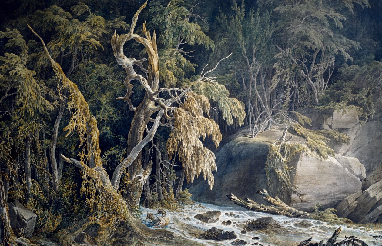 Paysage rocheux avec arbres déracinés - Giuseppe Pietro Bagetti