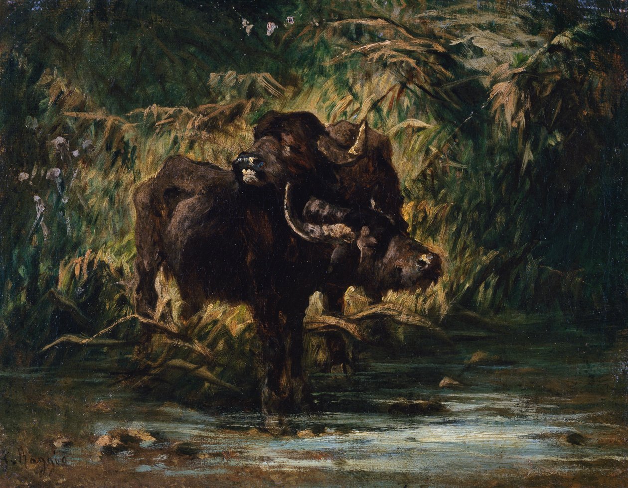 Jeunes buffles - Giuseppe Raggio