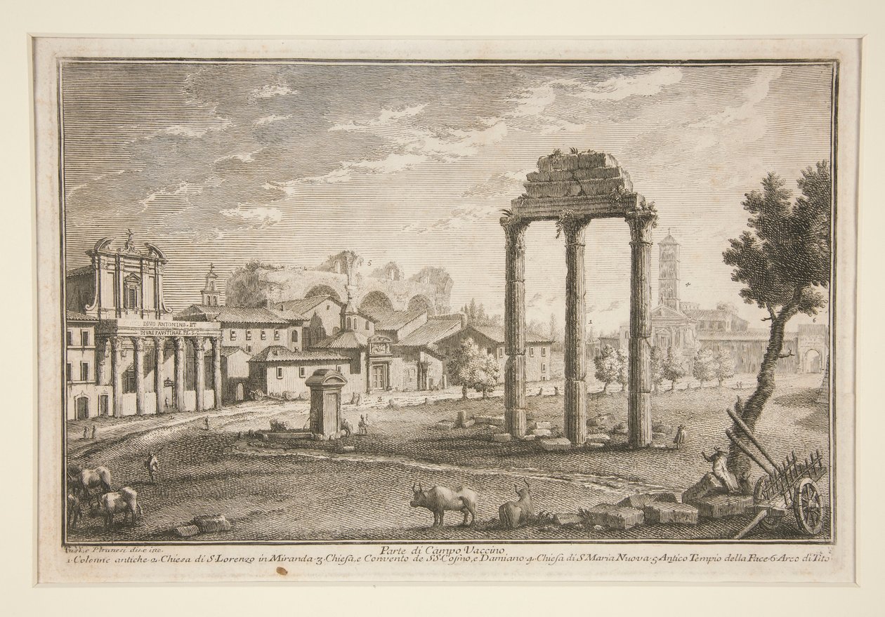 Partie du Campo Vaccino - Giuseppe Vasi