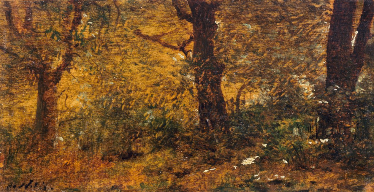 Étude de bois - Giuseppe or Joseph de Nittis