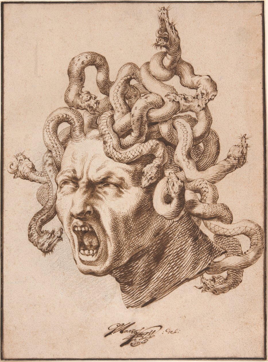Tête de Méduse - Godfried Maes