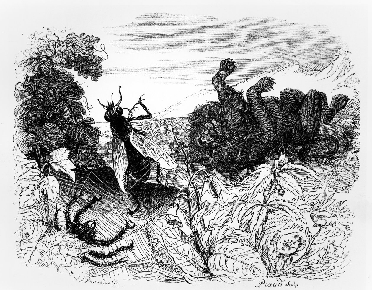 Le Lion et le Moucheron, illustration pour 