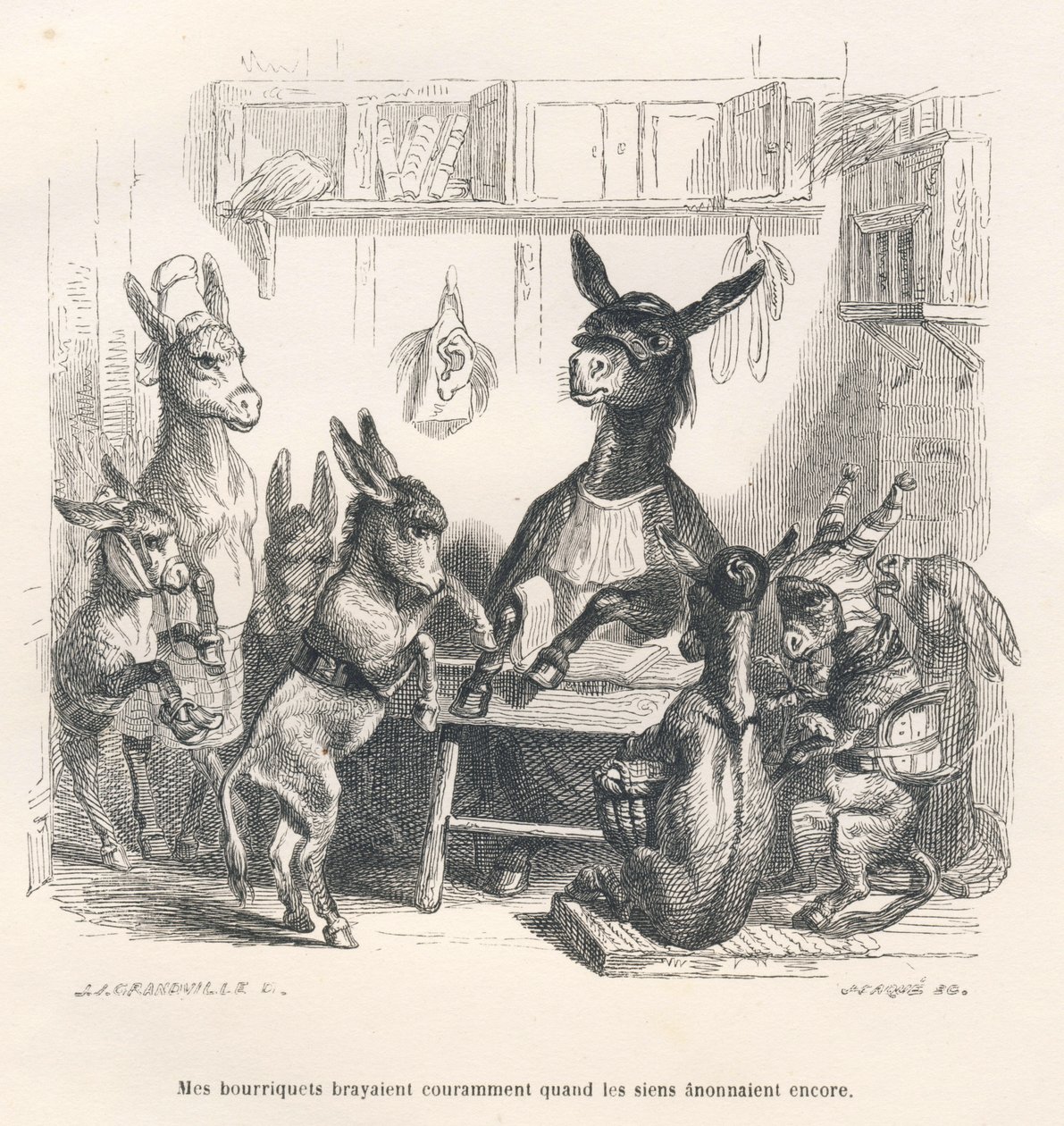 Ânes à l